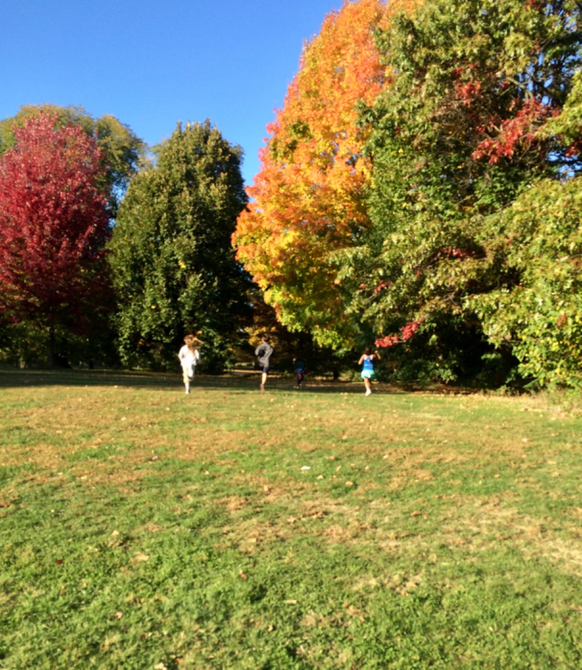 Young runners racing across a meadow under fall trees in Prospect Park
